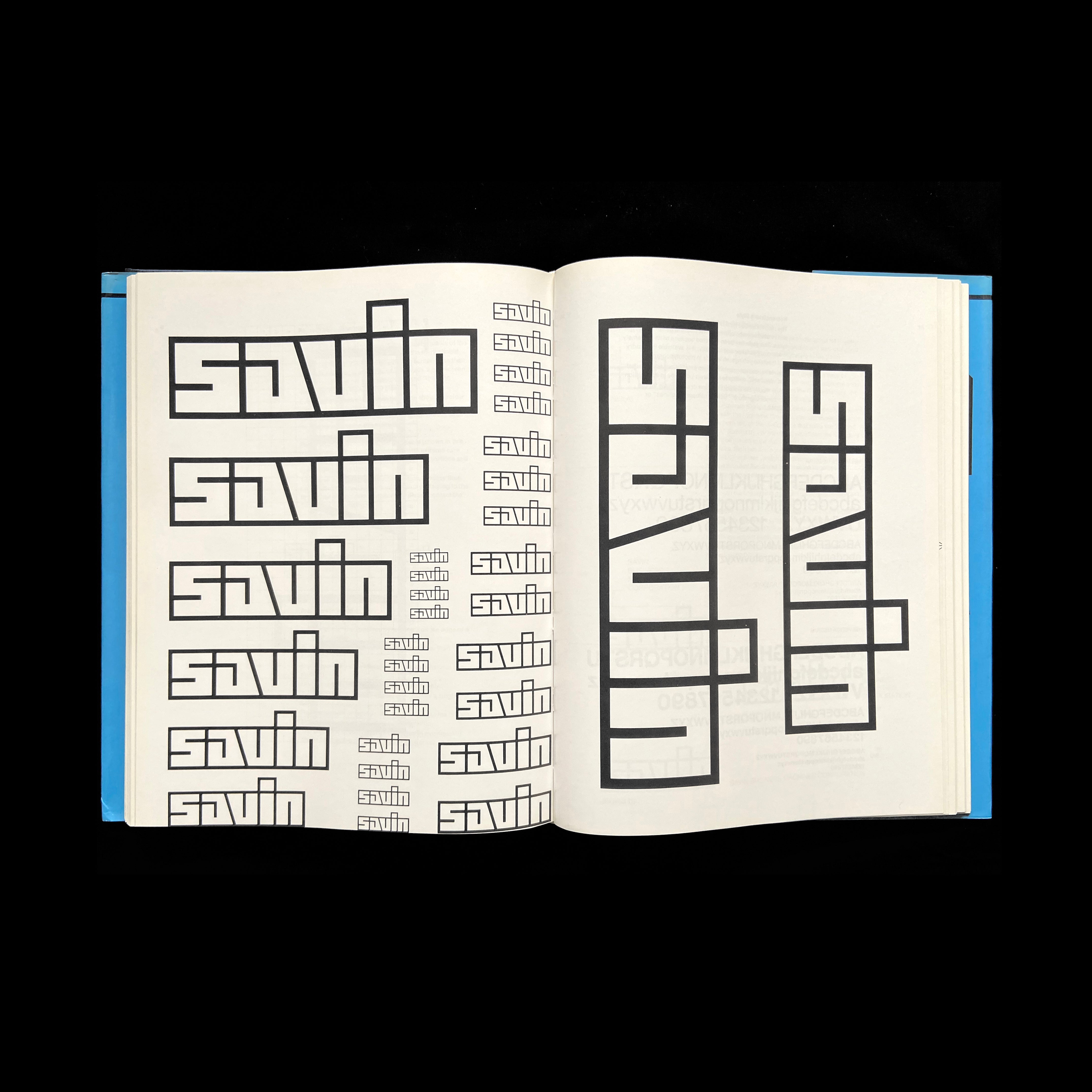 超希少AMERICAN CORPORATE IDENTITY 2003 51HSZQFKFZL._AC_UF1000,